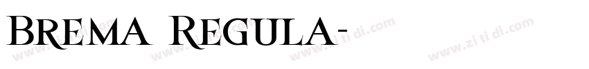 Brema Regula字体转换